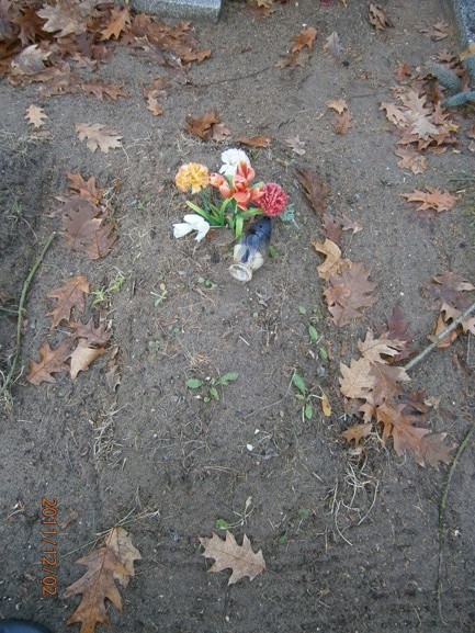 NN NN Ostróda - Grobonet - Wyszukiwarka osób pochowanych