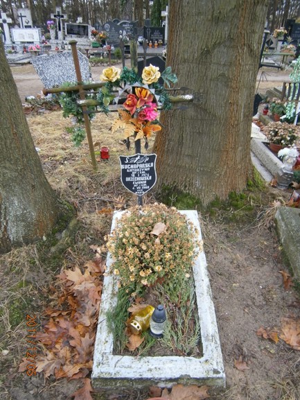 Ewa ORZECHOWSKA Ostróda - Grobonet - Wyszukiwarka osób pochowanych