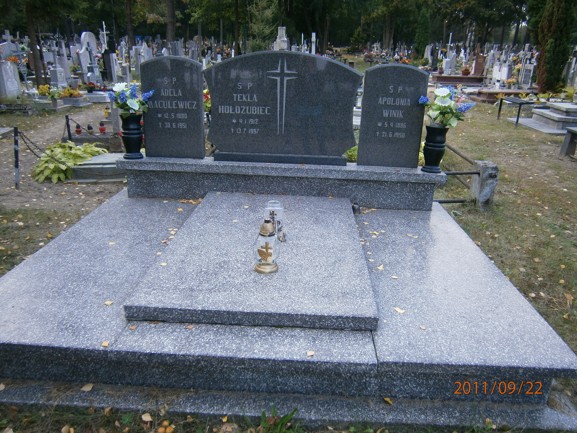 Apolonia WINIK 1886 Ostróda - Grobonet - Wyszukiwarka osób pochowanych