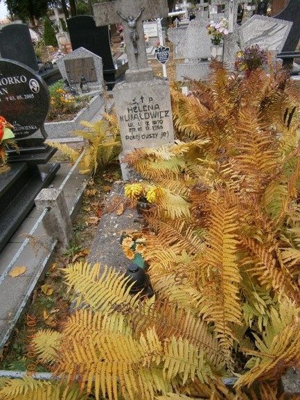 Helena KUJAŁOWICZ 1870 Ostróda - Grobonet - Wyszukiwarka osób pochowanych