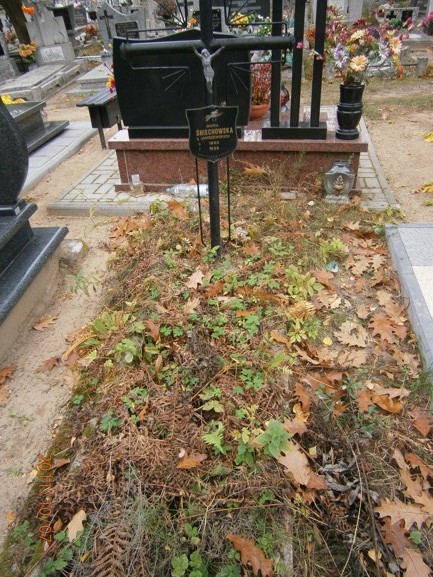 Maria Śniechowska Ostróda - Grobonet - Wyszukiwarka osób pochowanych